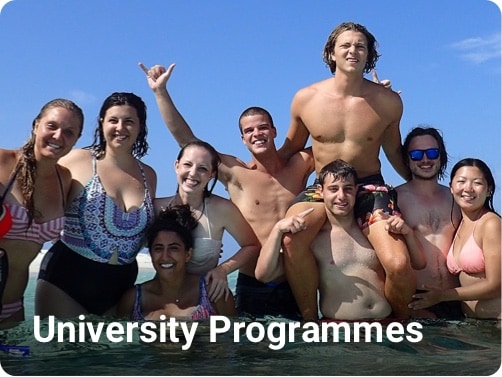 University Programmes